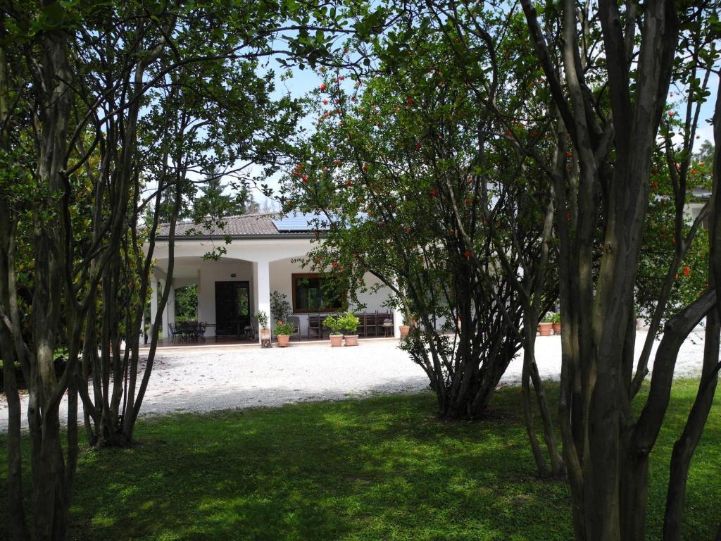 B&B Villa Miani Silea Zewnętrze zdjęcie